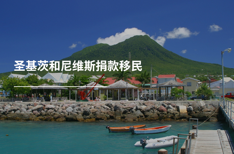 圣基茨和尼维斯捐款移民