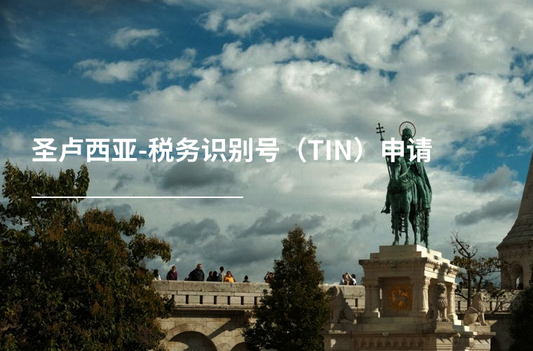 圣卢西亚-税务识别号（TIN）申请