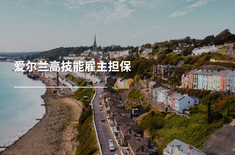 爱尔兰高技能雇主担保