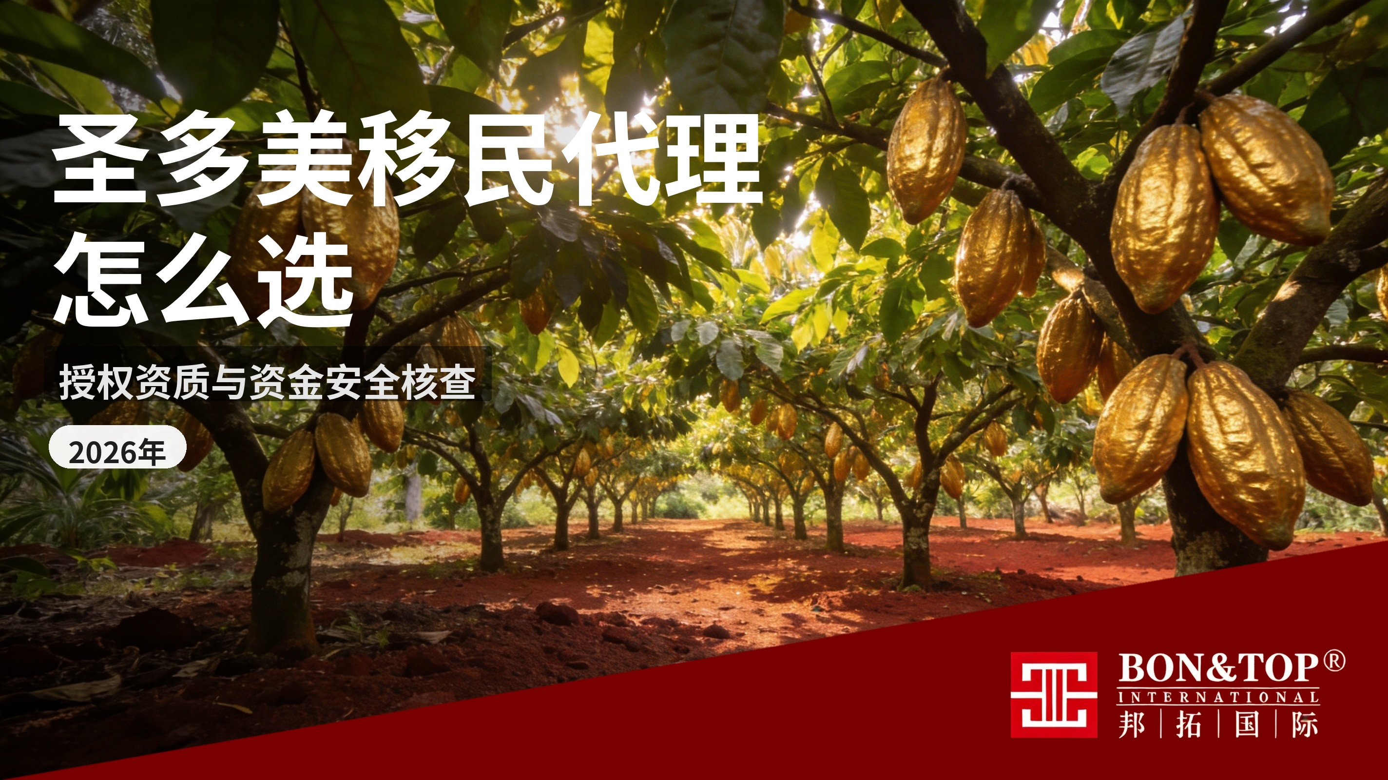 圣多美移民代理怎么选?2026 年授权资质与资金安全核查指南