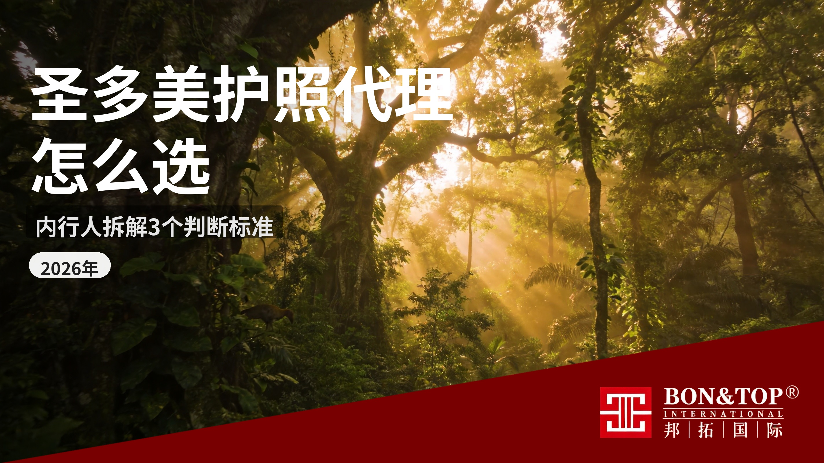 2026 年做圣多美护照的移民代理怎么选?内行人拆解 3 个真实判断标准